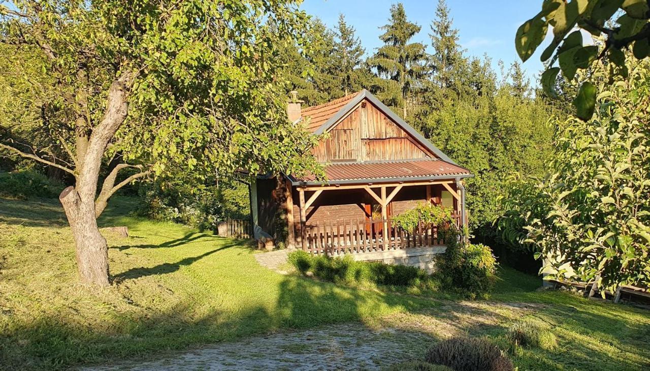 Villa Hiska Ob Gozdu Polzela Exterior foto